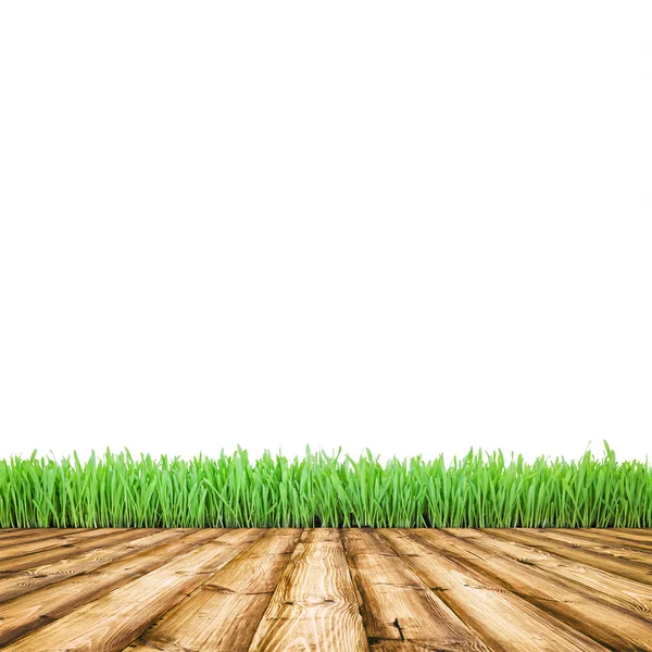 Деревини і трава — стокове фото
