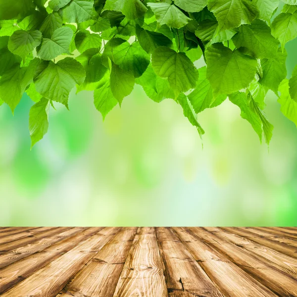 Wood — Stock Photo, Image