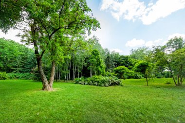 Park