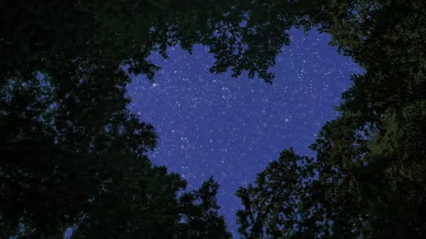 Cielo Nocturno Estrellas Bosque — Vídeos de Stock