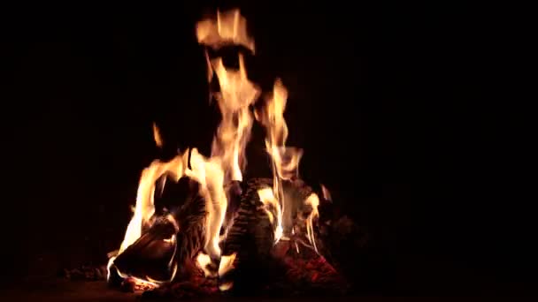 Kamin Mit Brennendem Holz Der Nacht — Stockvideo