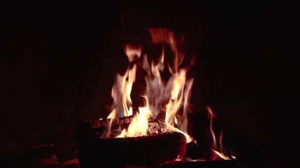 夜は薪で暖炉を作る — ストック動画