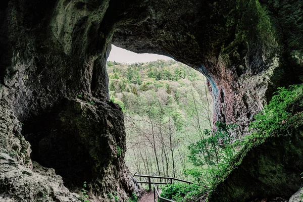 Merdivenler dağa çıkıyor.