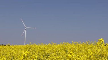 Yel değirmenlerinin arka planına karşı yaz manzarası