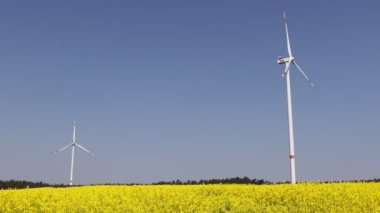 Yel değirmenlerinin arka planına karşı yaz manzarası