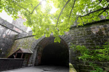 castle on nature for business idea