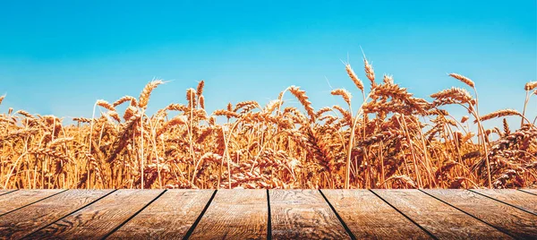 Natural Ukrainian flag with wheat and sky