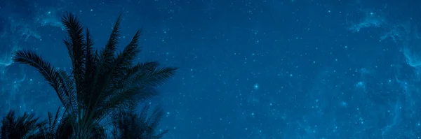 Geceleri Denizdeki Palmiye Ağaçlarının Üzerinde Parlar — Stok fotoğraf