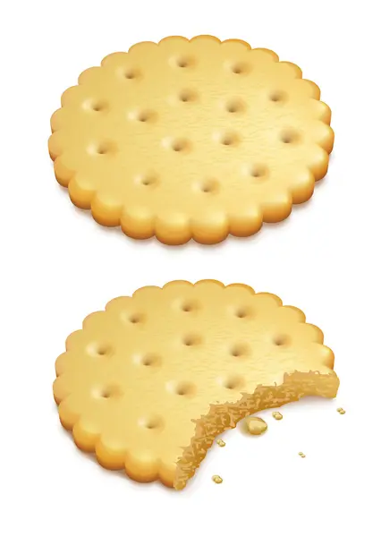 脆脆的饼干上白色隔离 — 图库矢量图片
