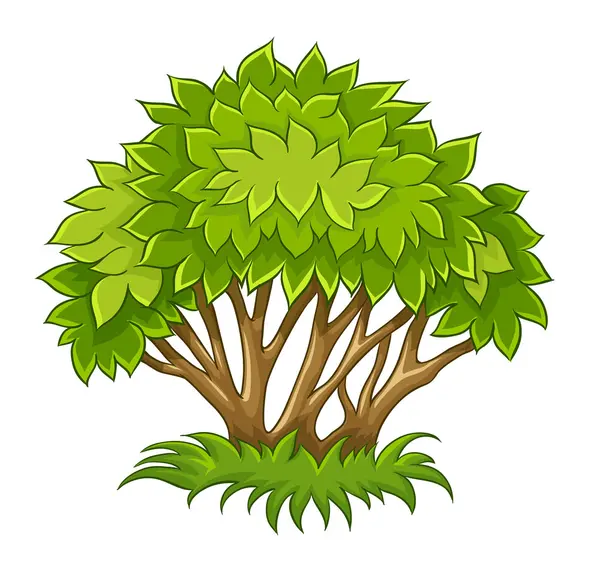 Arbusto con hojas verdes — Vector de stock