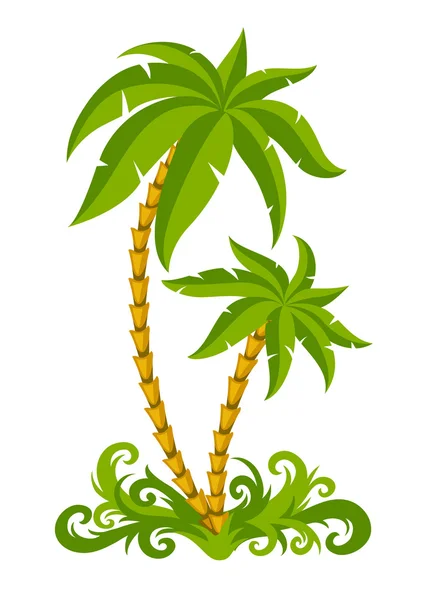 Tropické palmy — Stockový vektor