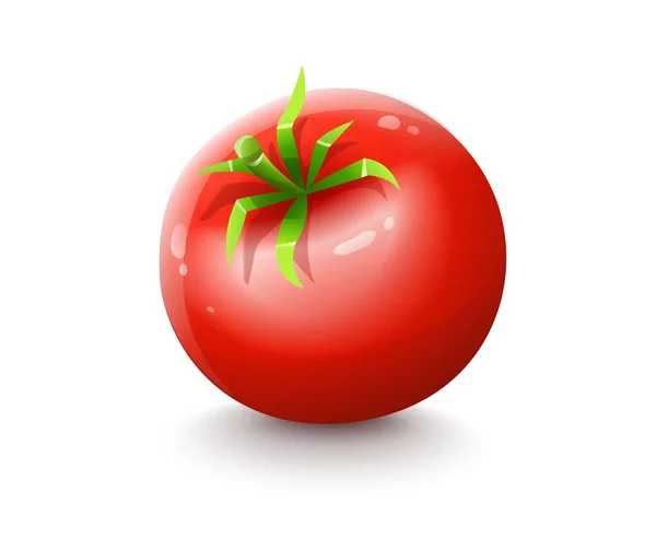 Kırmızı domates. Çizgi film sebze meyvesi izole vektörü. — Stok fotoğraf