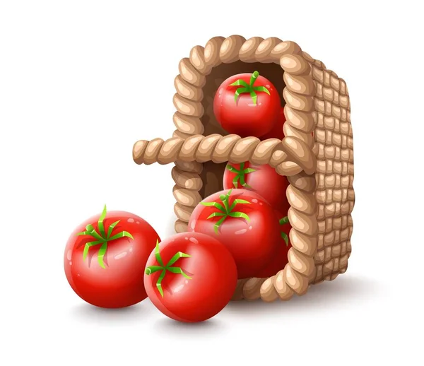땋아 놓은 바구니 모양의 붉은 익은 토마토. — 스톡 사진