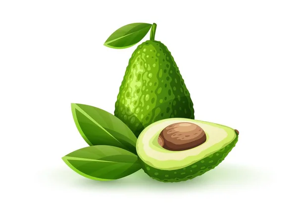 Grüne Frucht-Avocado für Guacamole-Sauce. Vektorillustration. — Stockfoto