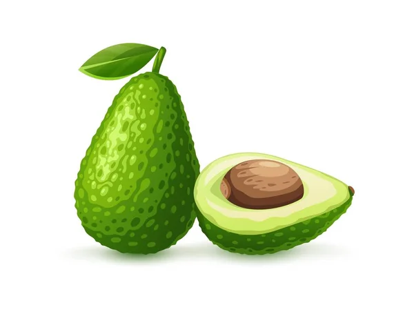 Grüne Frucht-Avocado für Guacamole-Sauce. Vektorillustration. — Stockfoto