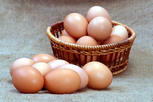 Chicken eggs of brown color — Stock Photo, Image