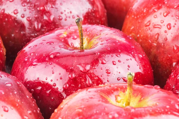 Macro de pommes fraîches mouillées rouges — Photo