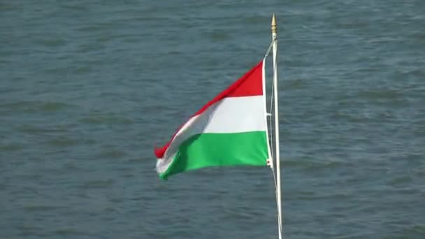 Hungarian flag — Stock Video