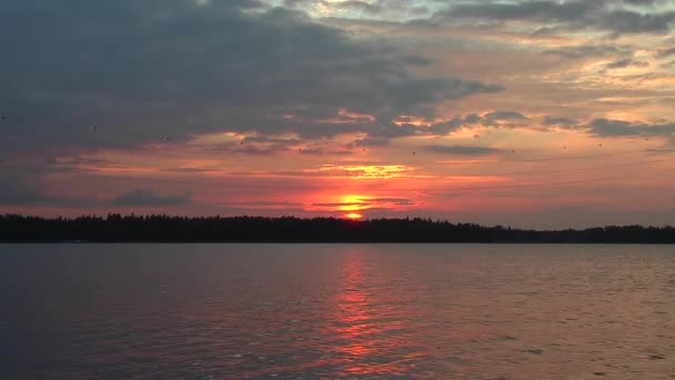 Sonnenuntergang auf ruhiger See — Stockvideo
