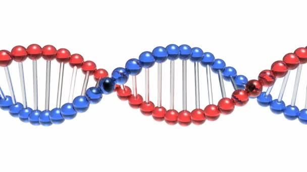 旋转的 dna 分子 — 图库视频影像