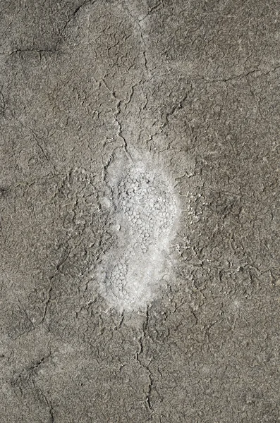 Ślady stóp w soli — Zdjęcie stockowe