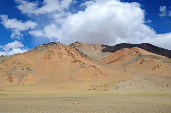 Himalayas — Stock Photo, Image