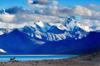 teknik destek moriri göl günbatımı sonra