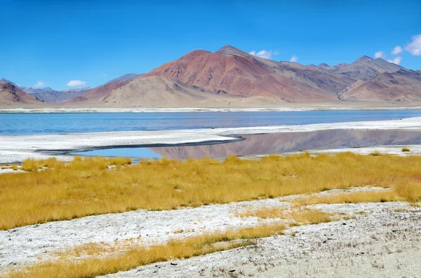 Himalayas salt lake — Stock Photo, Image