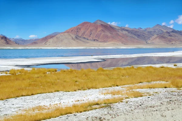 Himalaia lago salgado — Fotografia de Stock