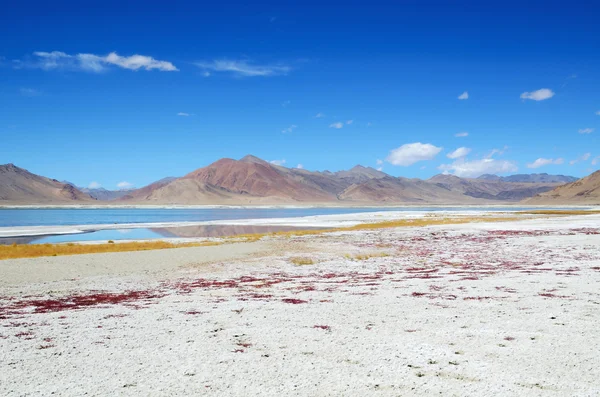 Lago salgado em Ladakh — Fotografia de Stock