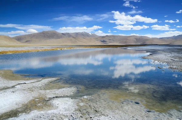 Słone jezioro w ladakh — Zdjęcie stockowe