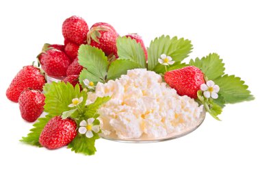 Strawberries and cottage cheese clipart
