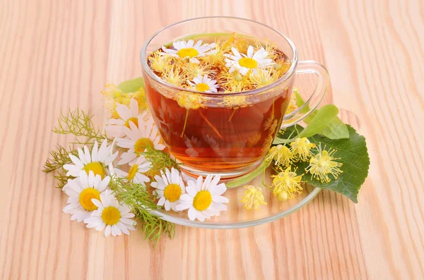 Cup of herbal tea — Stock Photo, Image