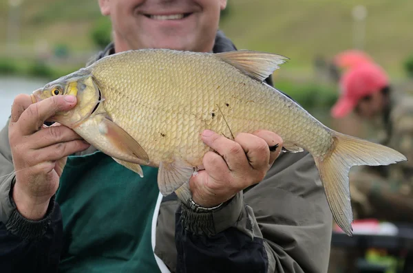 Big fish — Stock Photo, Image