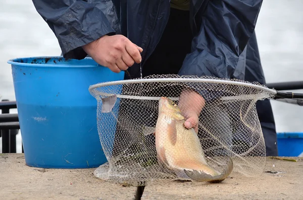 Troféu de pesca — Fotografia de Stock