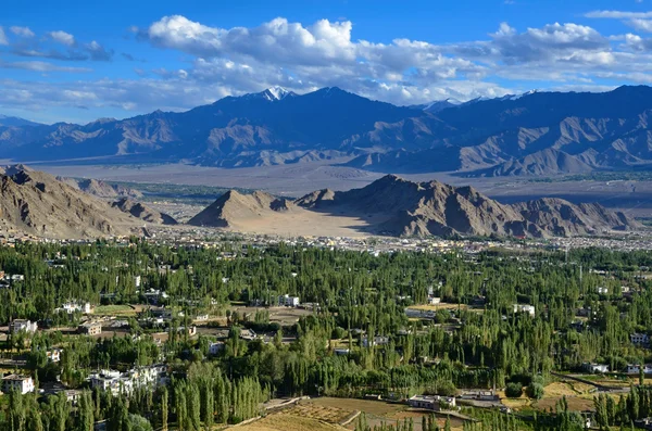 Leh at sunset — Stock Photo, Image