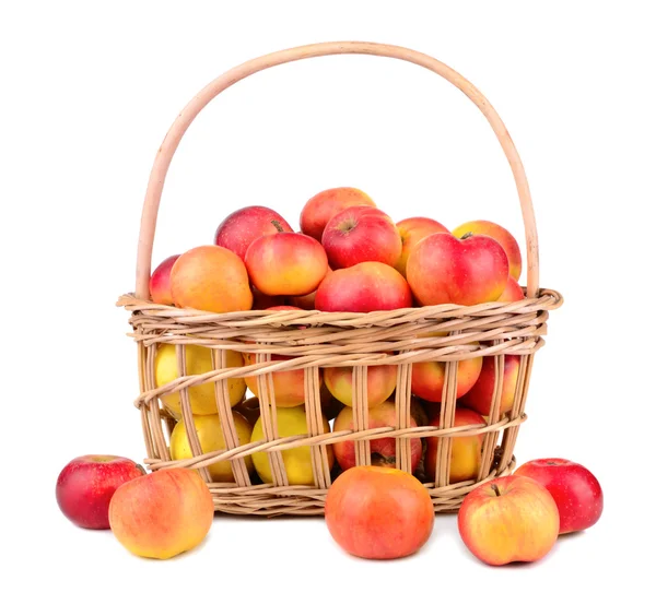 Mogna äpplen — Stockfoto