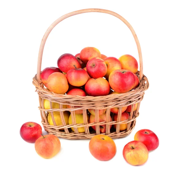 Яблука в кошик — стокове фото