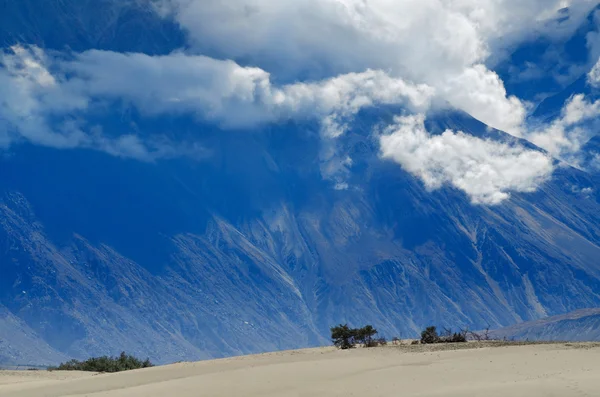 Montañas del Himalaya en el desierto de Nubra —  Fotos de Stock