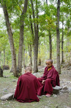 Genç Tibet rahipleri