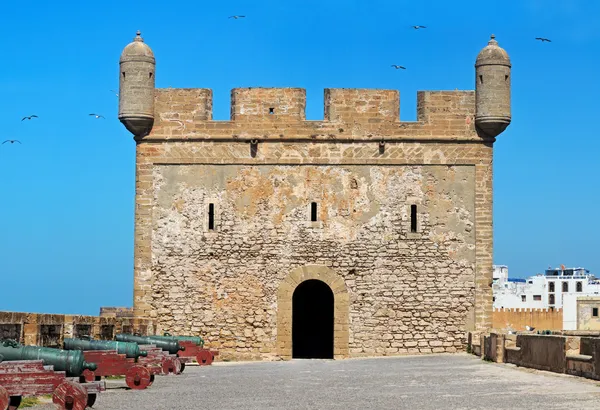 Essaouira kalede — Stok fotoğraf