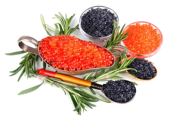 Caviar com alecrim — Fotografia de Stock