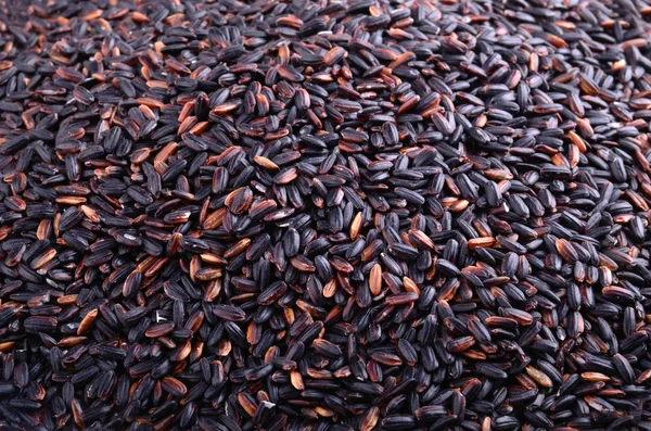 Black rice — Stock Photo, Image