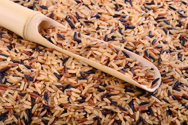 야생 쌀 — 스톡 사진