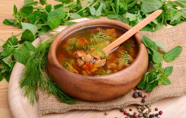 Pilzsuppe — Stockfoto