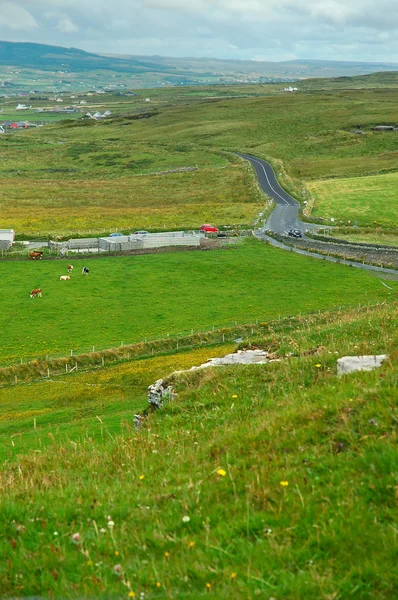 Ierse landschap — Stockfoto