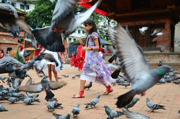 尼泊尔女孩与鸽子 — 图库照片