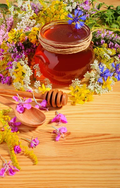 Blommor med honung — Stockfoto