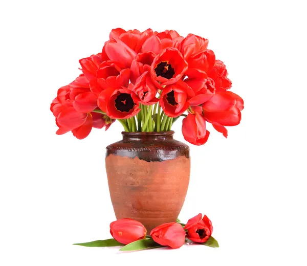 Vintage Clay Jug Beauty Bouquet Red Tulips Isolated White Background — Stock Photo, Image