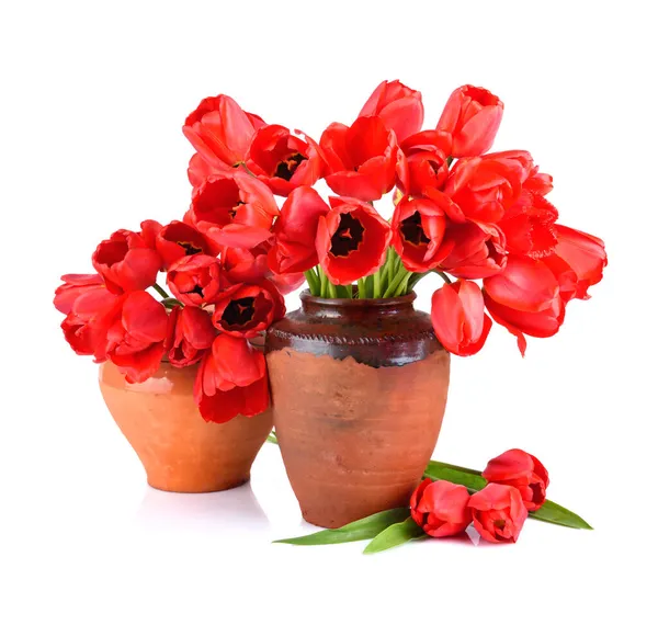 Ramo Hermosos Tulipanes Rojos Dos Jarras Arcilla Vintage Aisladas Sobre — Foto de Stock